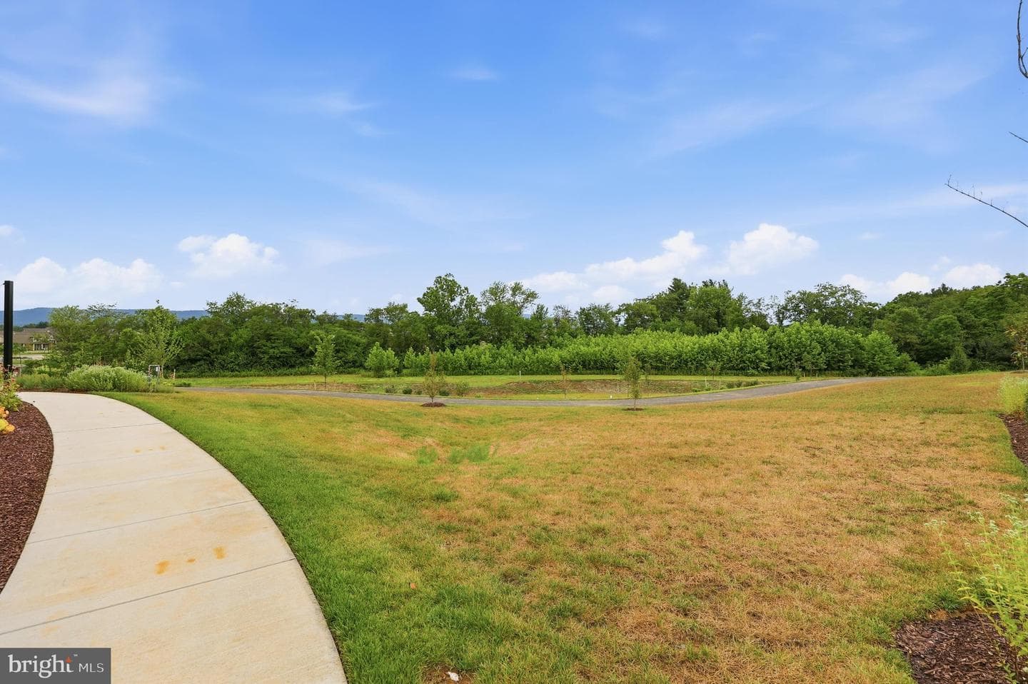 2605 Broadleaf Drive photo 80