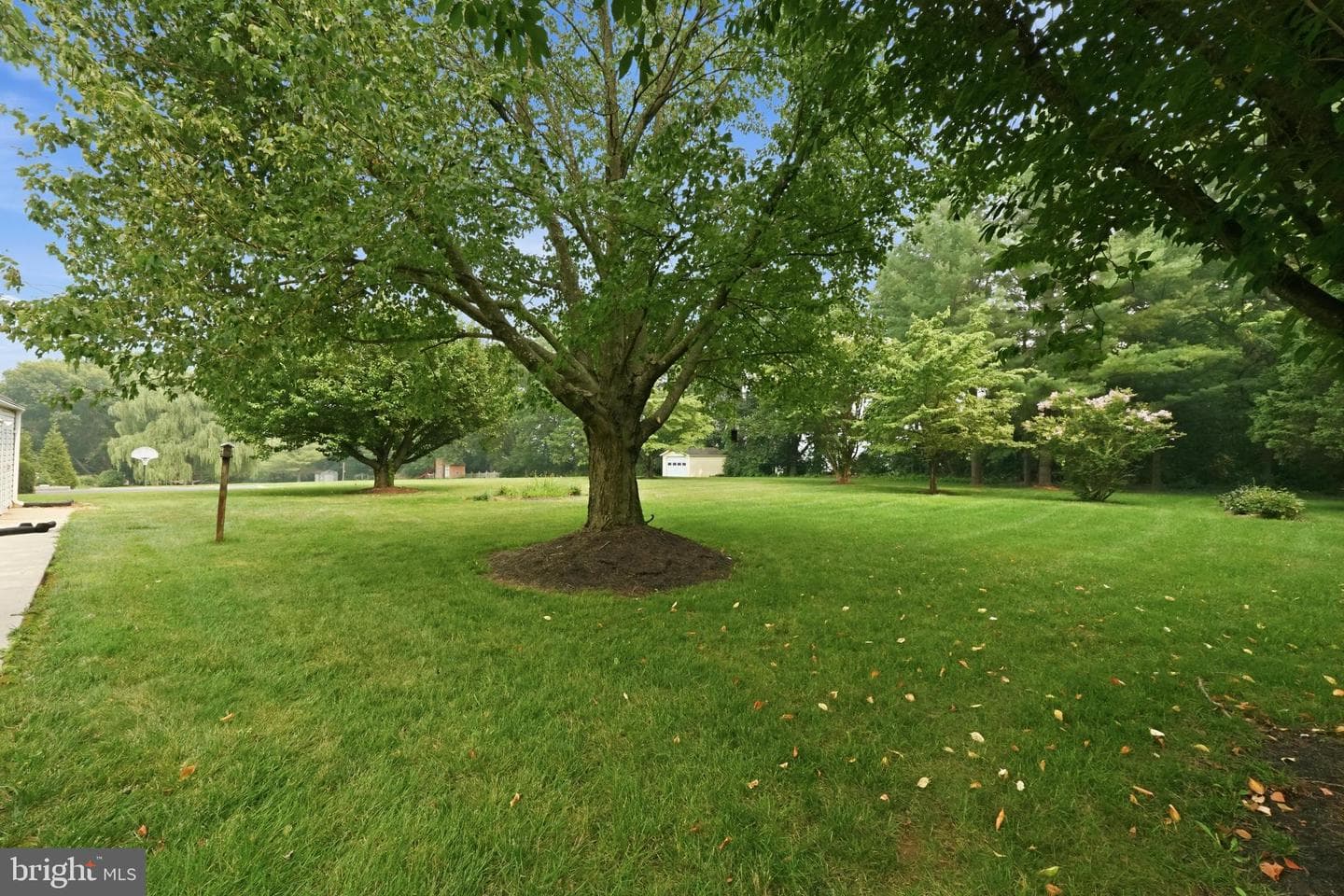 3405 Livingston Drive photo 36