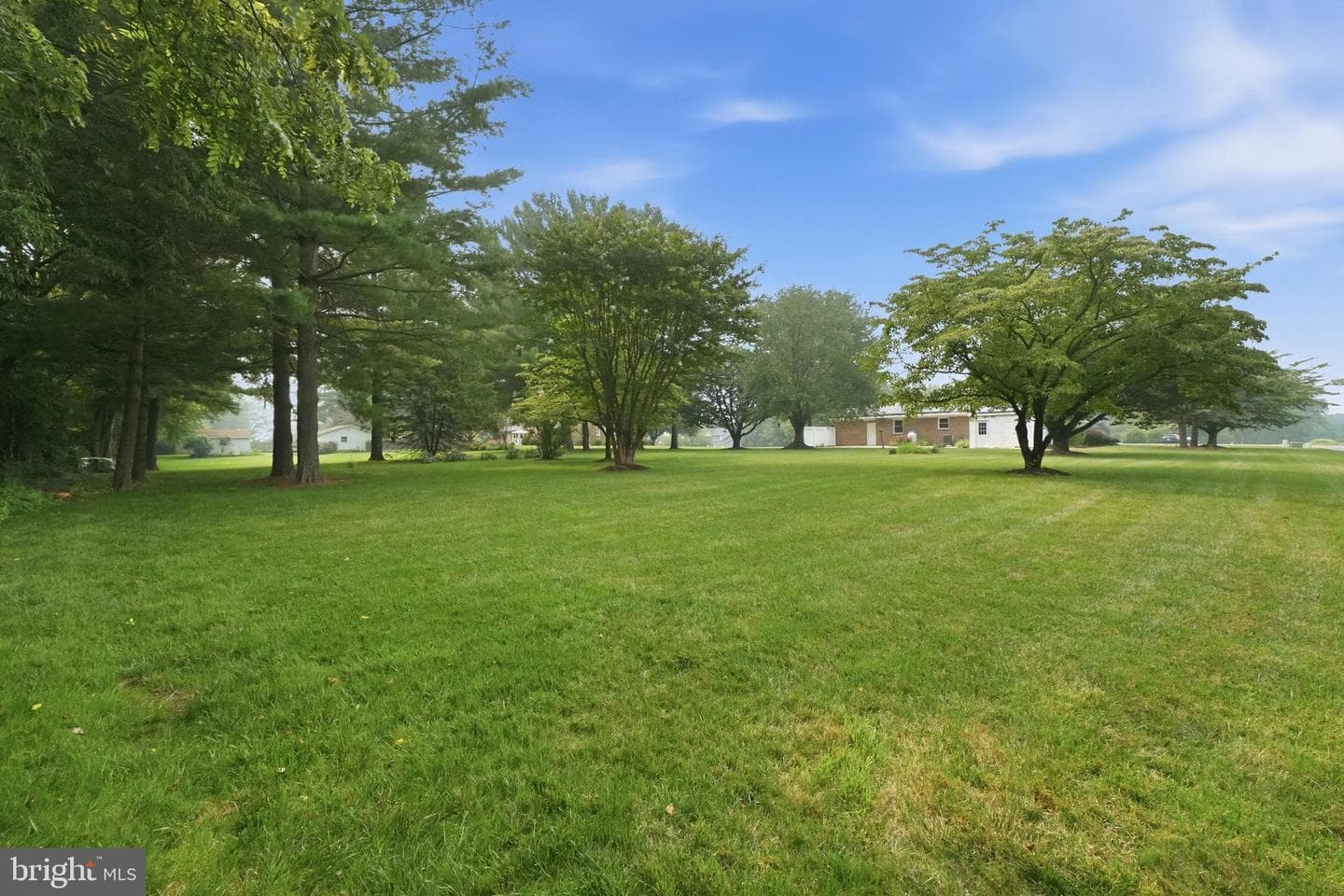 3405 Livingston Drive photo 39