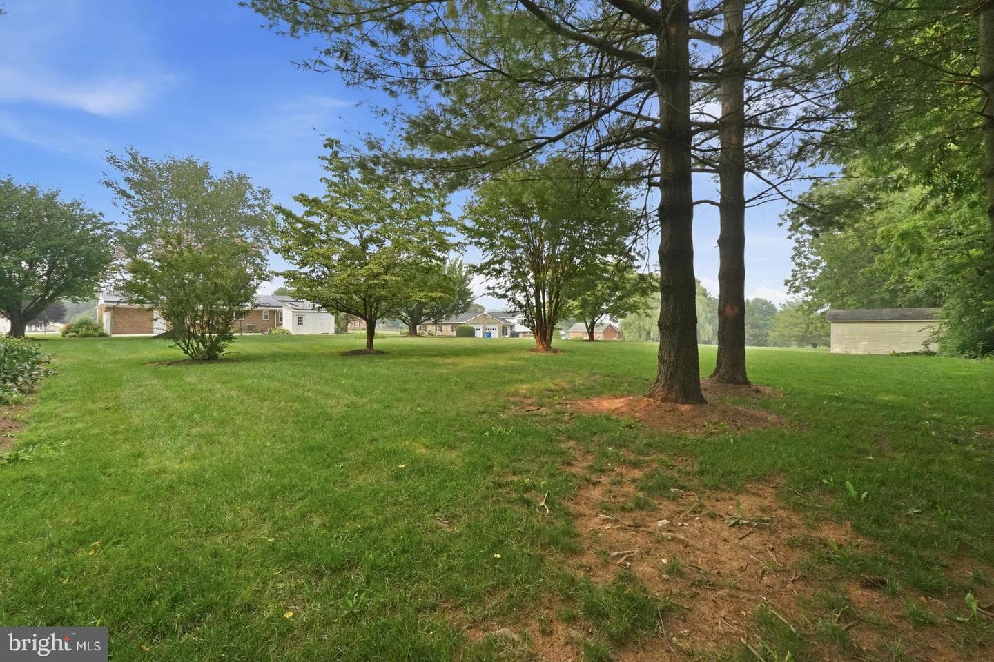 3405 Livingston Drive photo 40