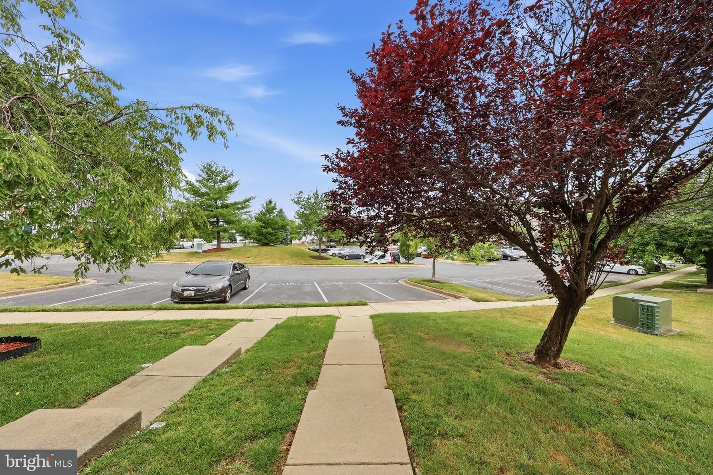 5783 Indian Cedar Court photo 43