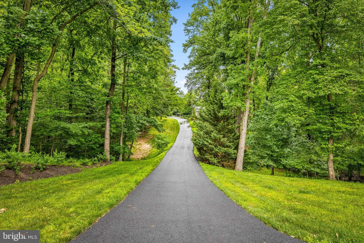 14536 Black Ankle Road photo 41