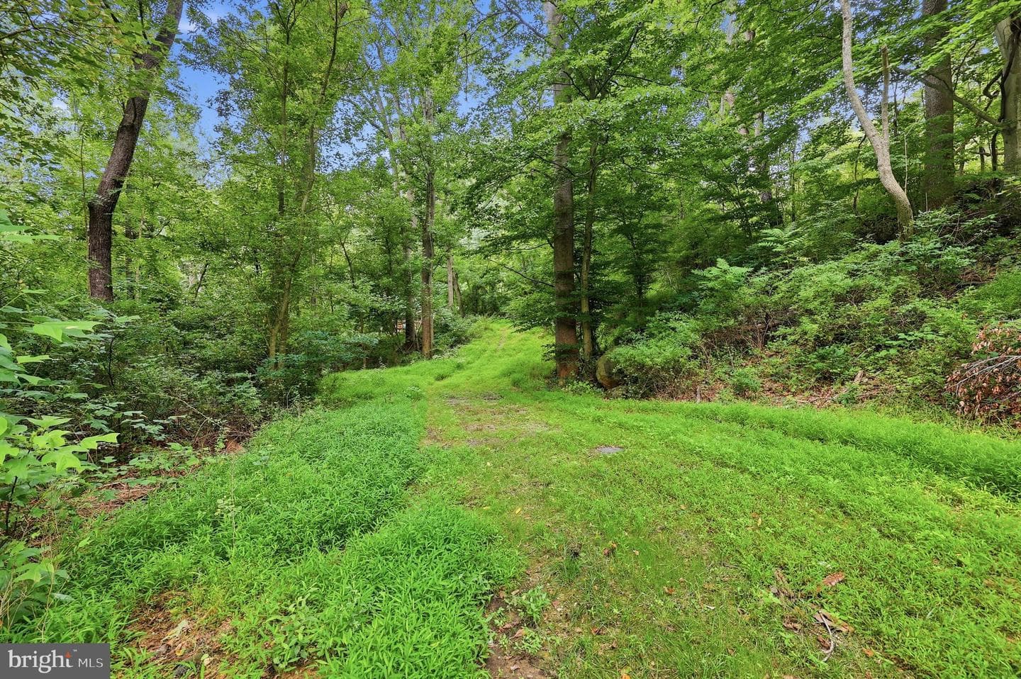 11234 Wolfsville Road photo 56