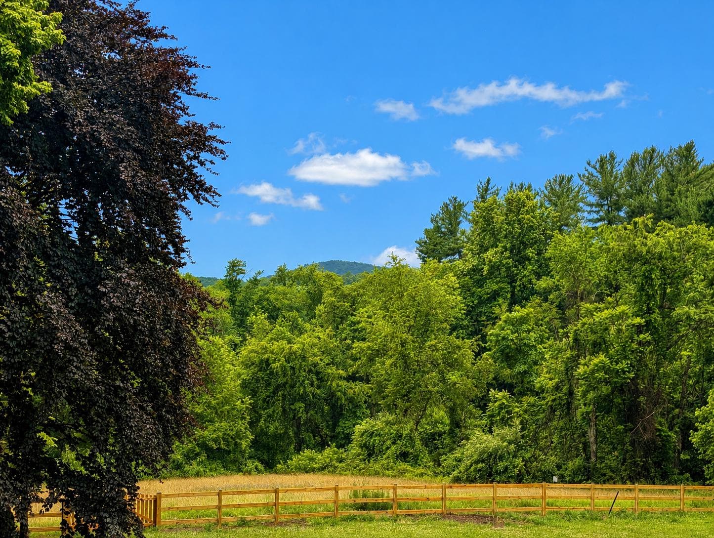 3022 Thurston Road, Frederick