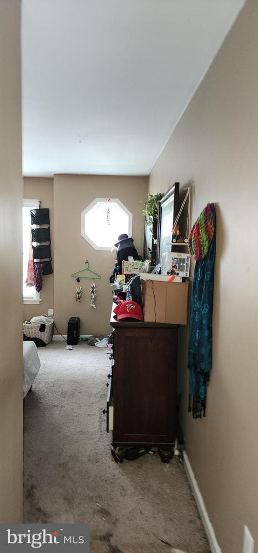 19 Virginia Avenue photo 49
