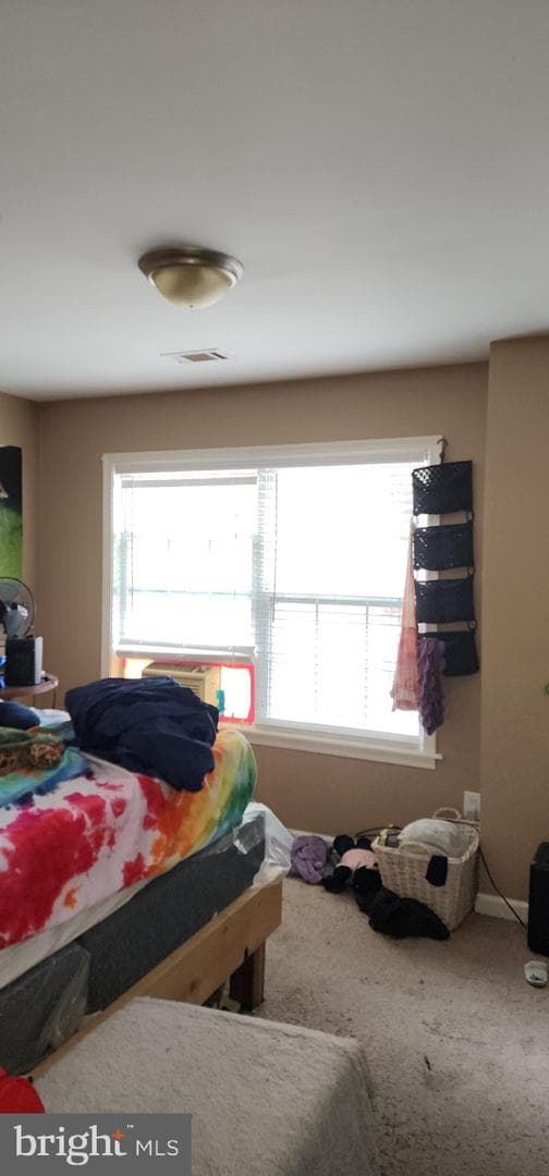 19 Virginia Avenue photo 51