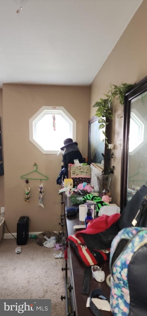 19 Virginia Avenue photo 52