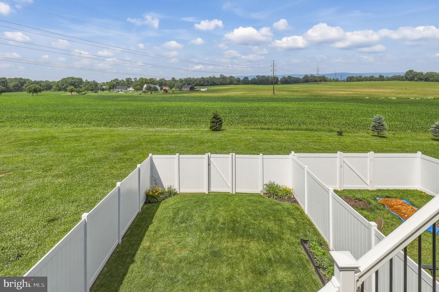 203 Longley Green Drive photo 33