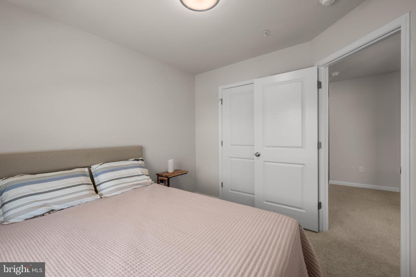 434 Herringbone Way photo 28