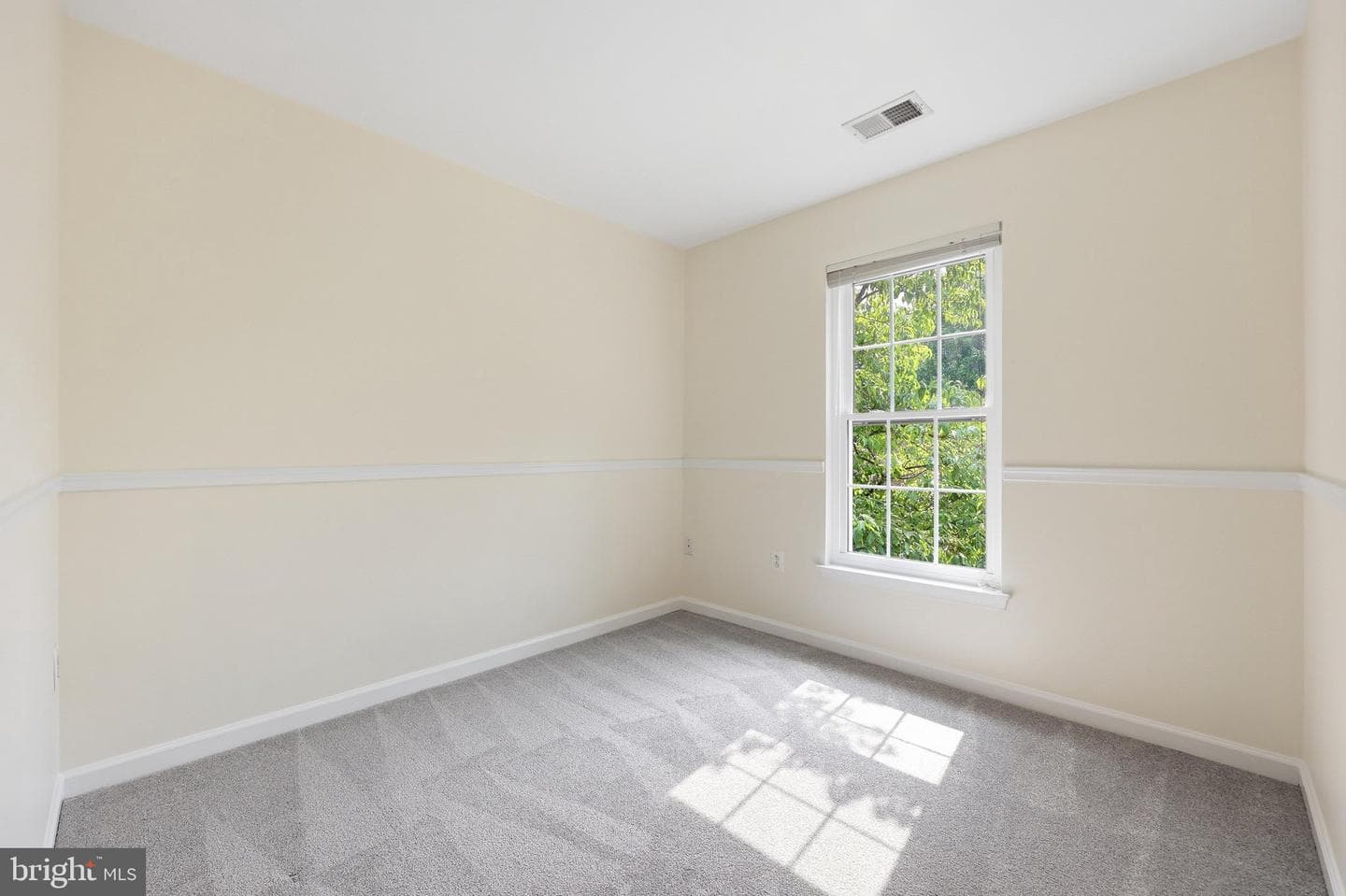 3647 Singleton Terrace photo 27