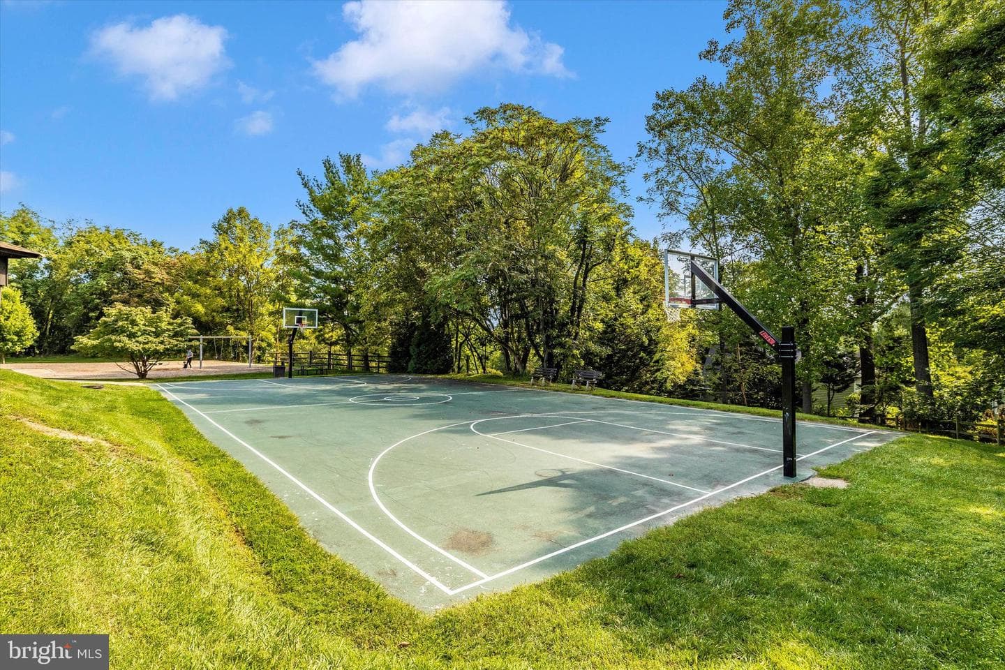 10120 Stonecat Mews photo 58