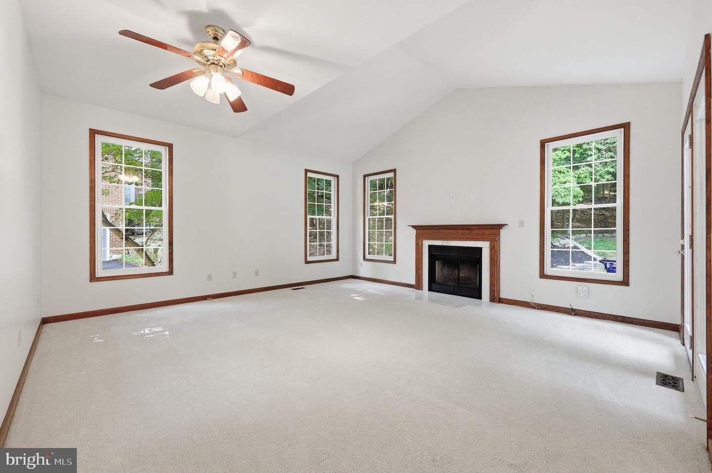 10014 Picea Court photo 24