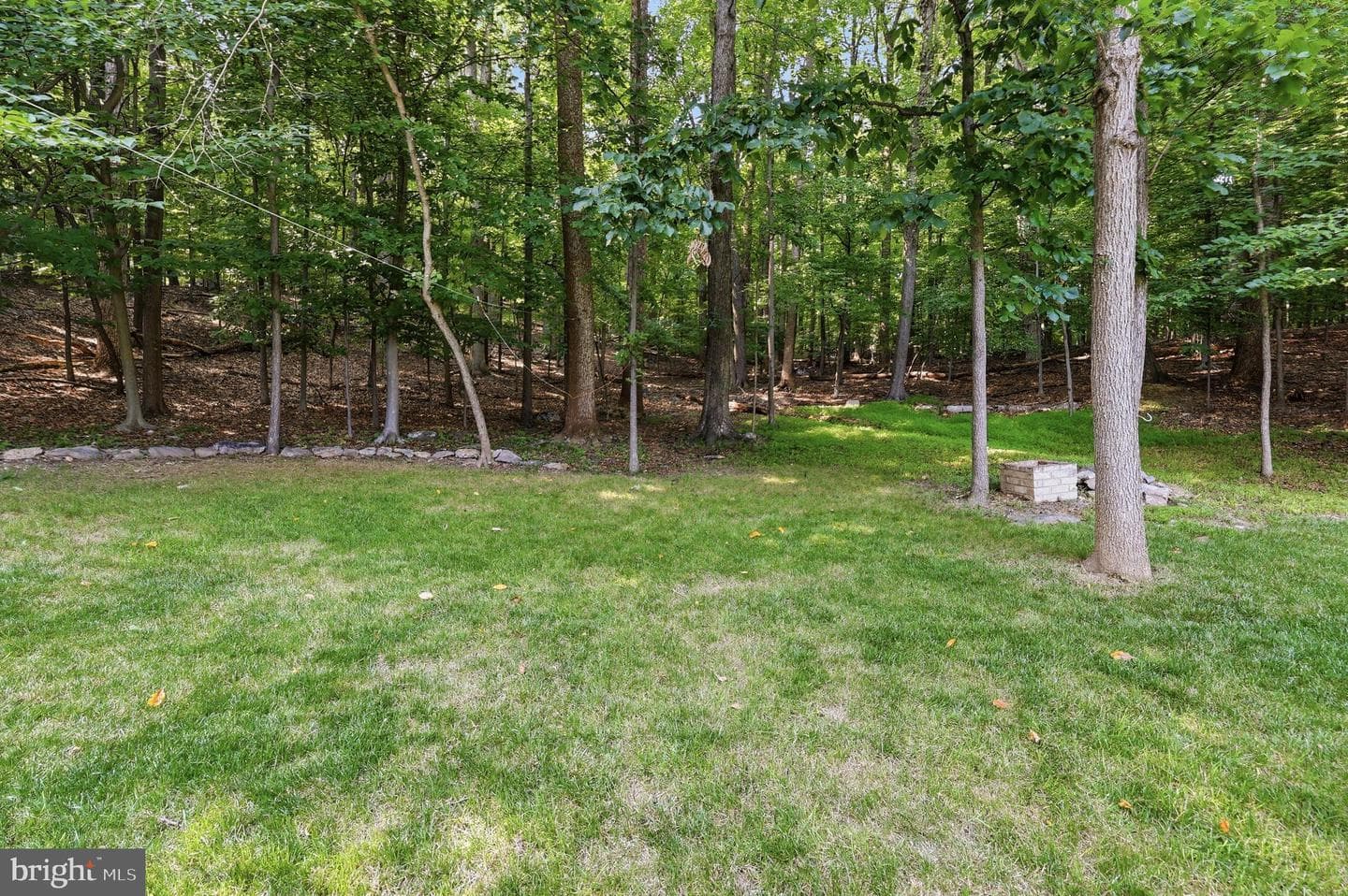 10014 Picea Court photo 60