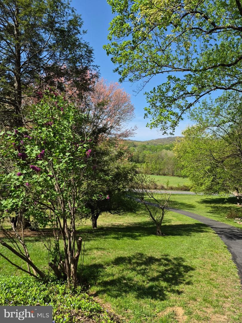 8315 Rocky Springs Road photo 2
