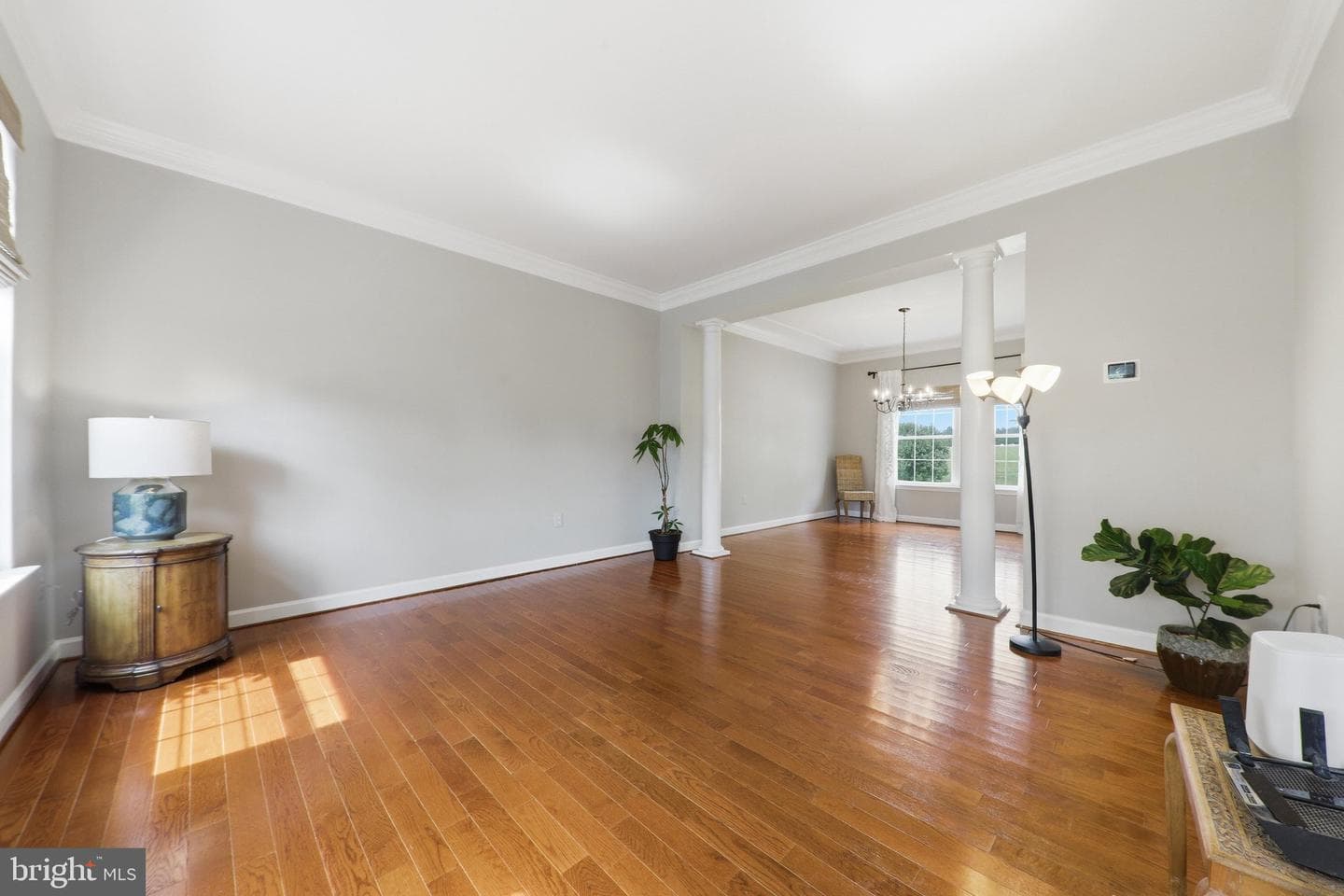 3455 Emys Place photo 4
