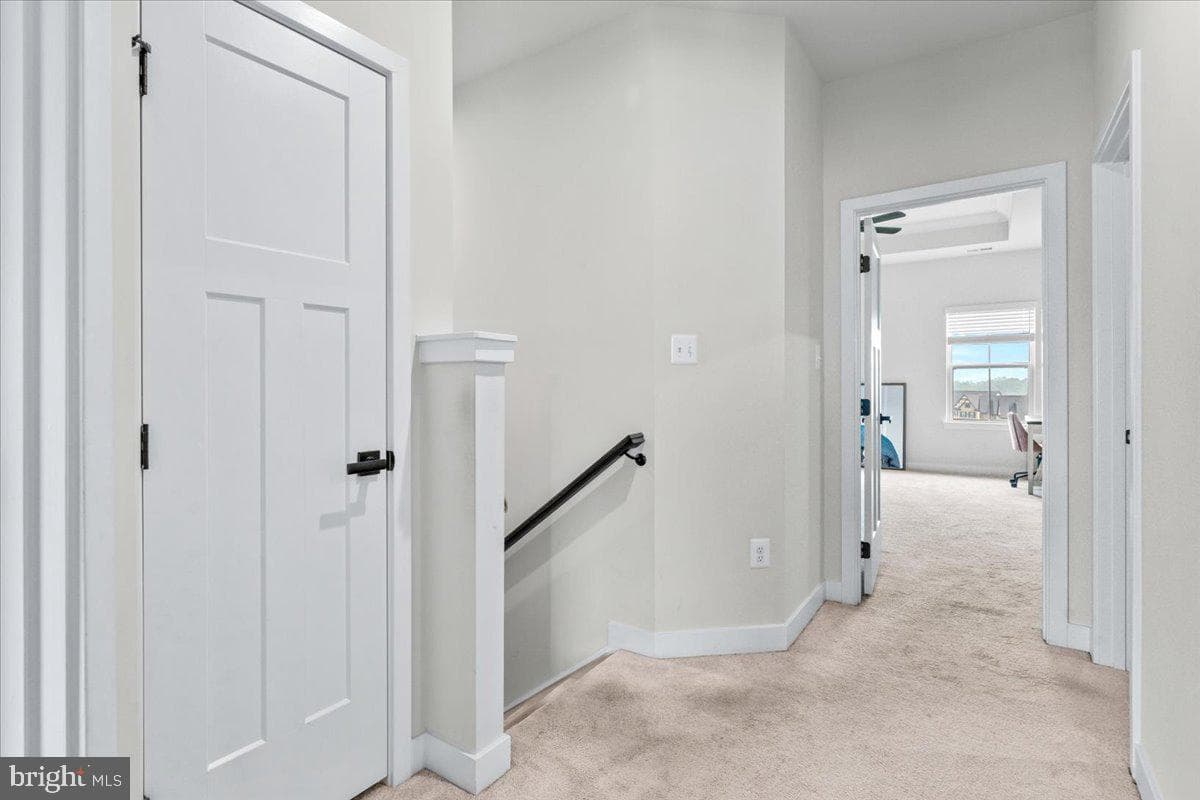 6116 Goshawk Street photo 17