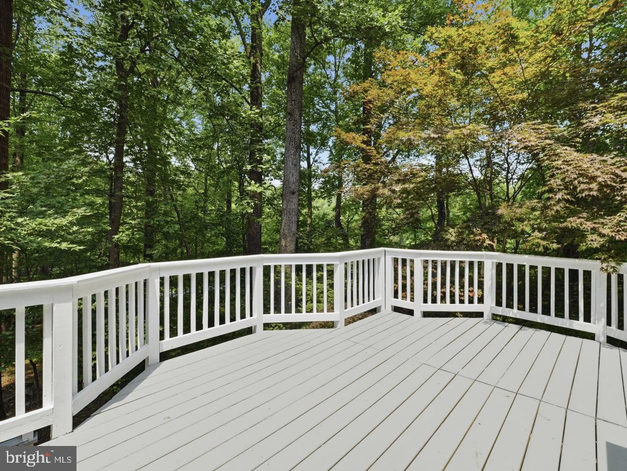 10611 Rum Springs Road photo 29