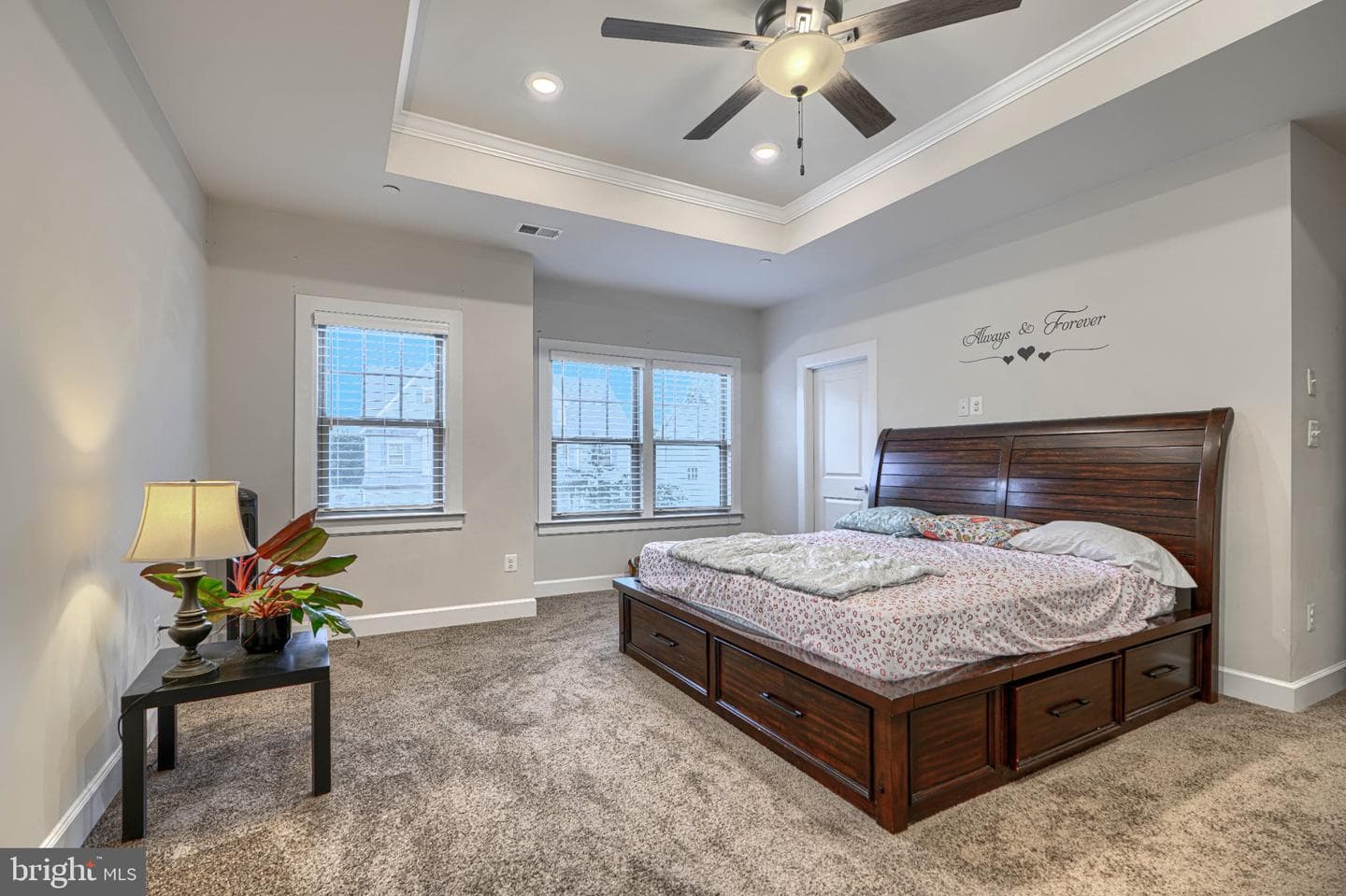 7142 Starmount Way photo 60