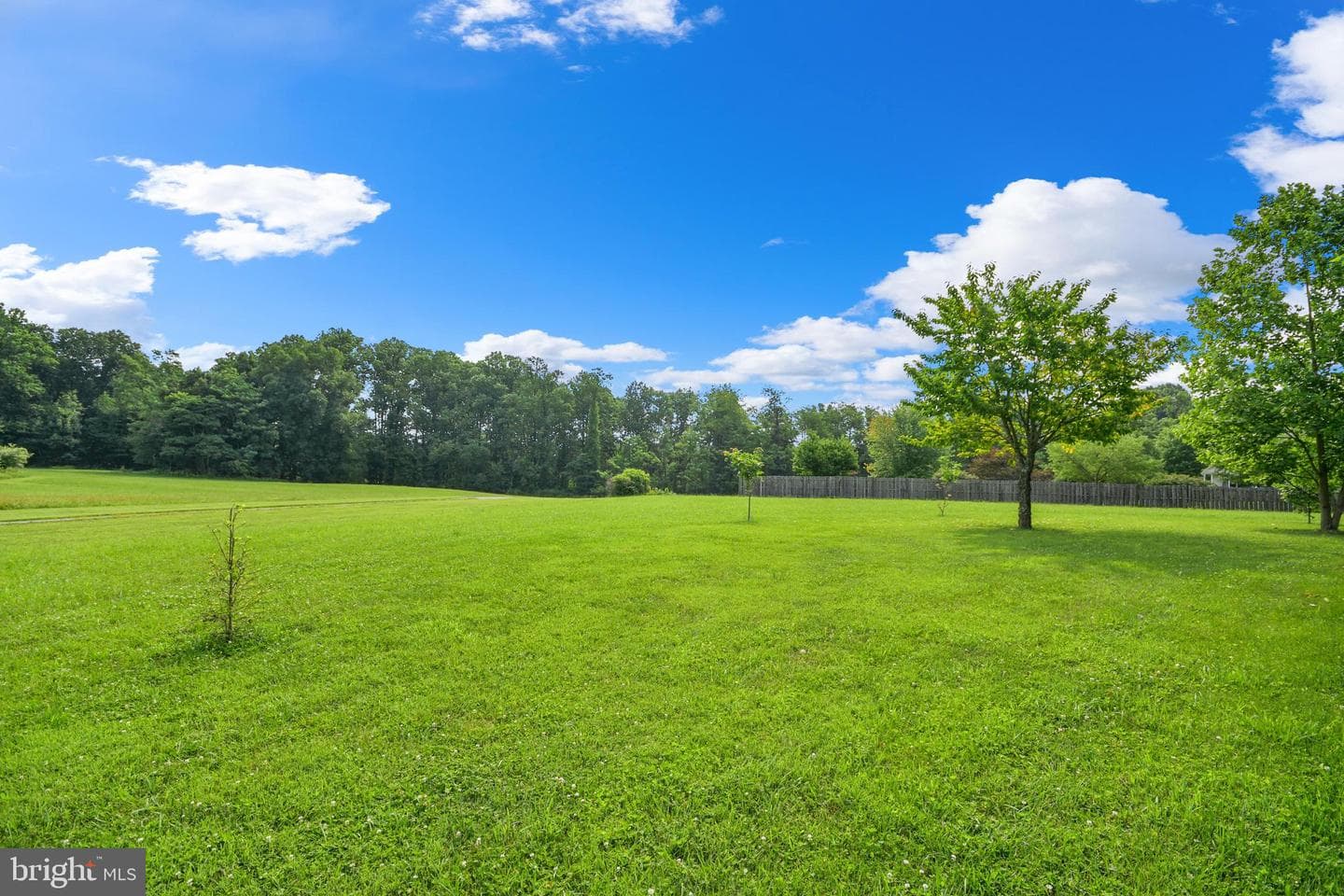 11717 Pleasant Walk Road photo 17