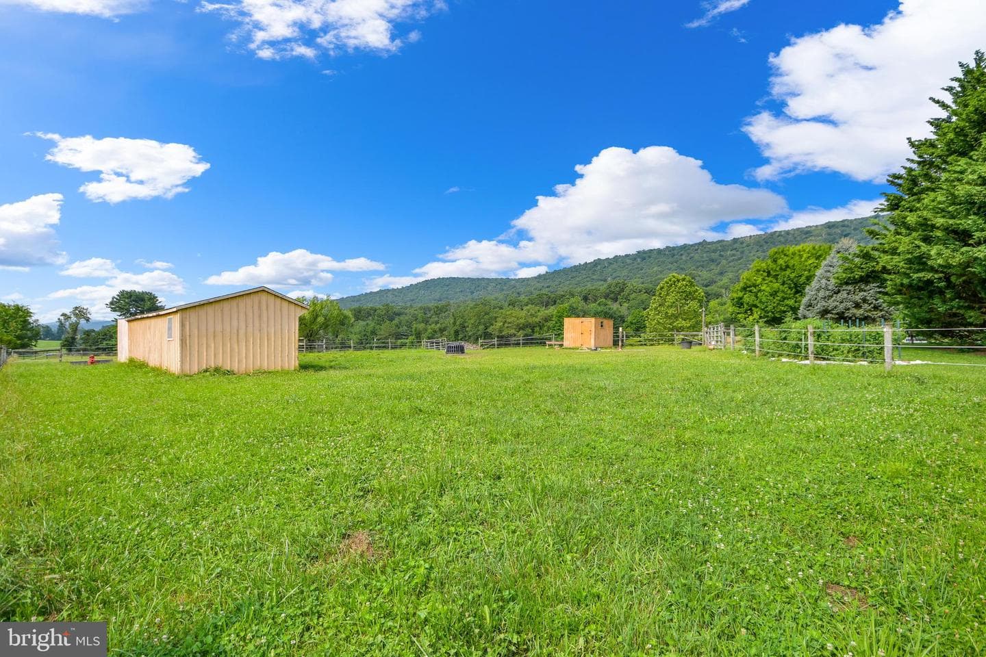 11717 Pleasant Walk Road photo 22
