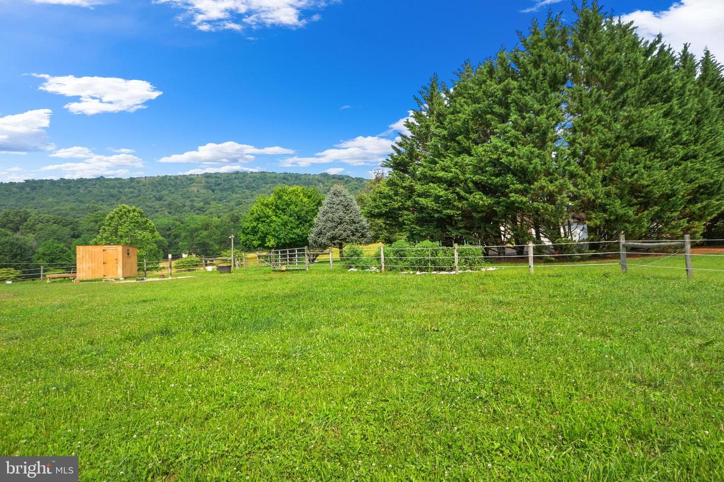 11717 Pleasant Walk Road photo 23