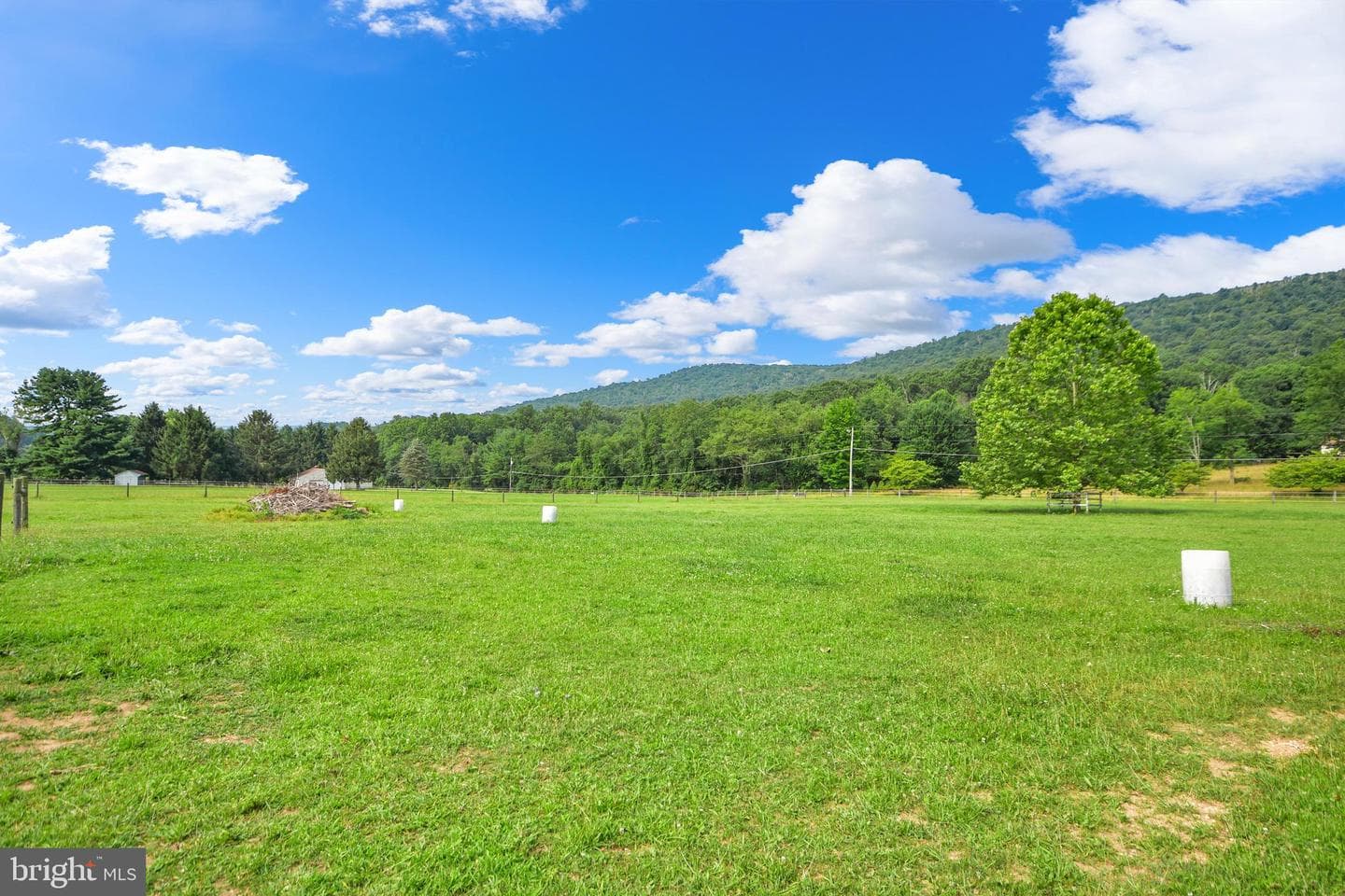 11717 Pleasant Walk Road photo 25