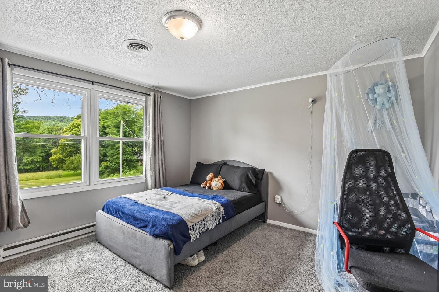 13903 Wolfsville Road photo 20