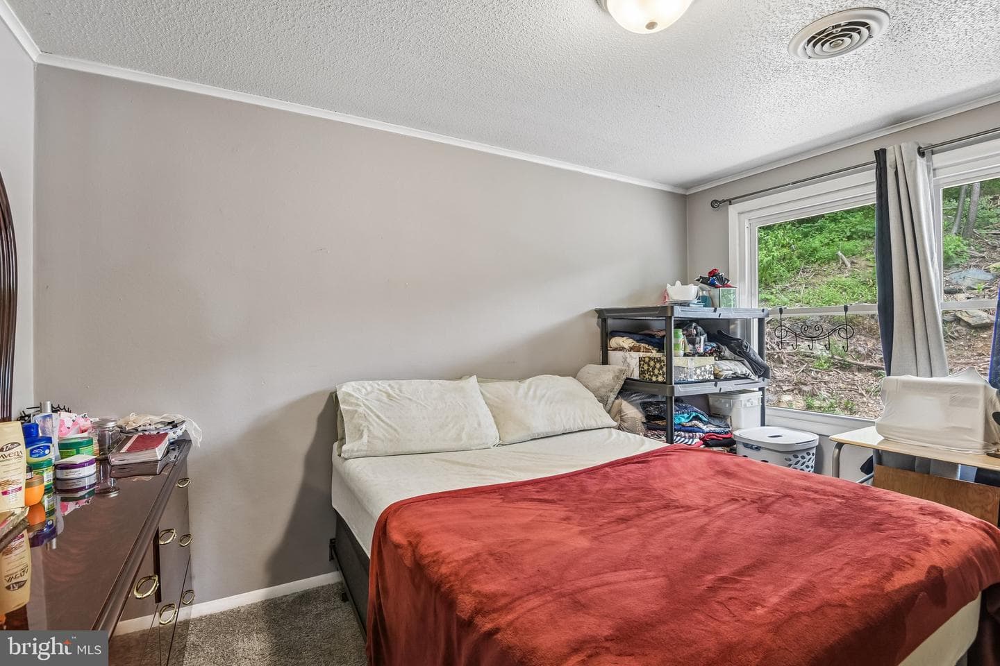 13903 Wolfsville Road photo 23