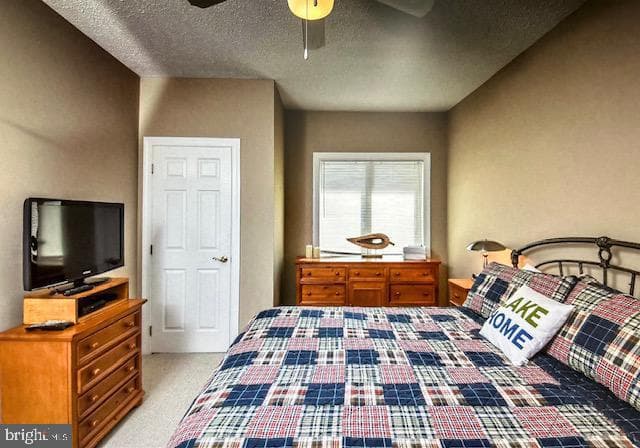 267 Mosser Road #8 photo 18