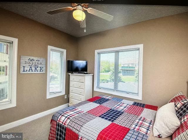267 Mosser Road #8 photo 19