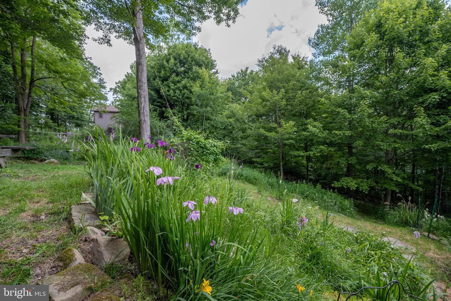 188 Highline Drive photo 100