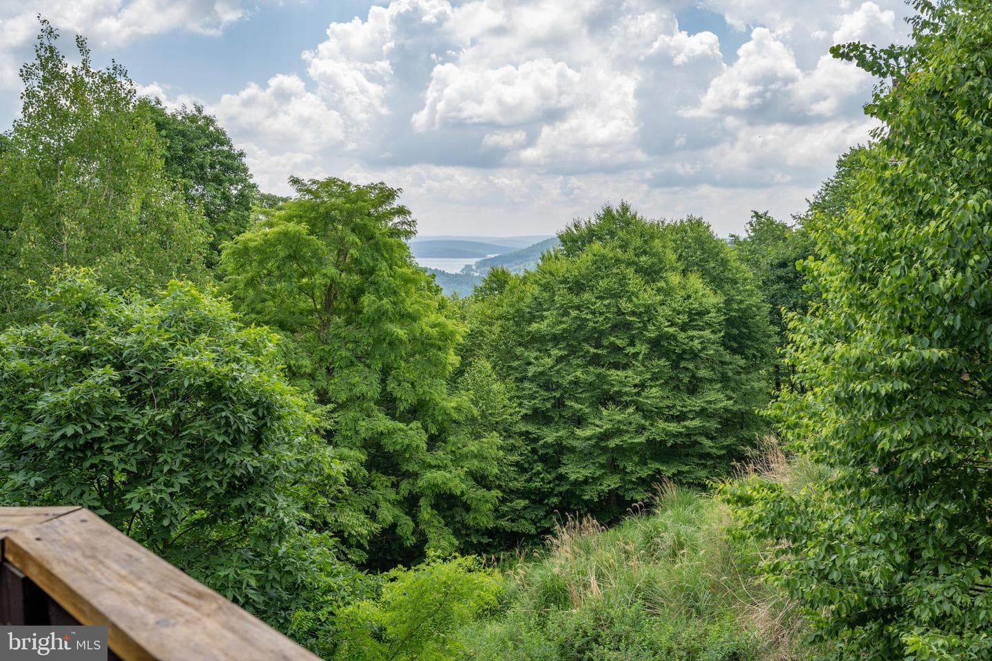 188 Highline Drive photo 109