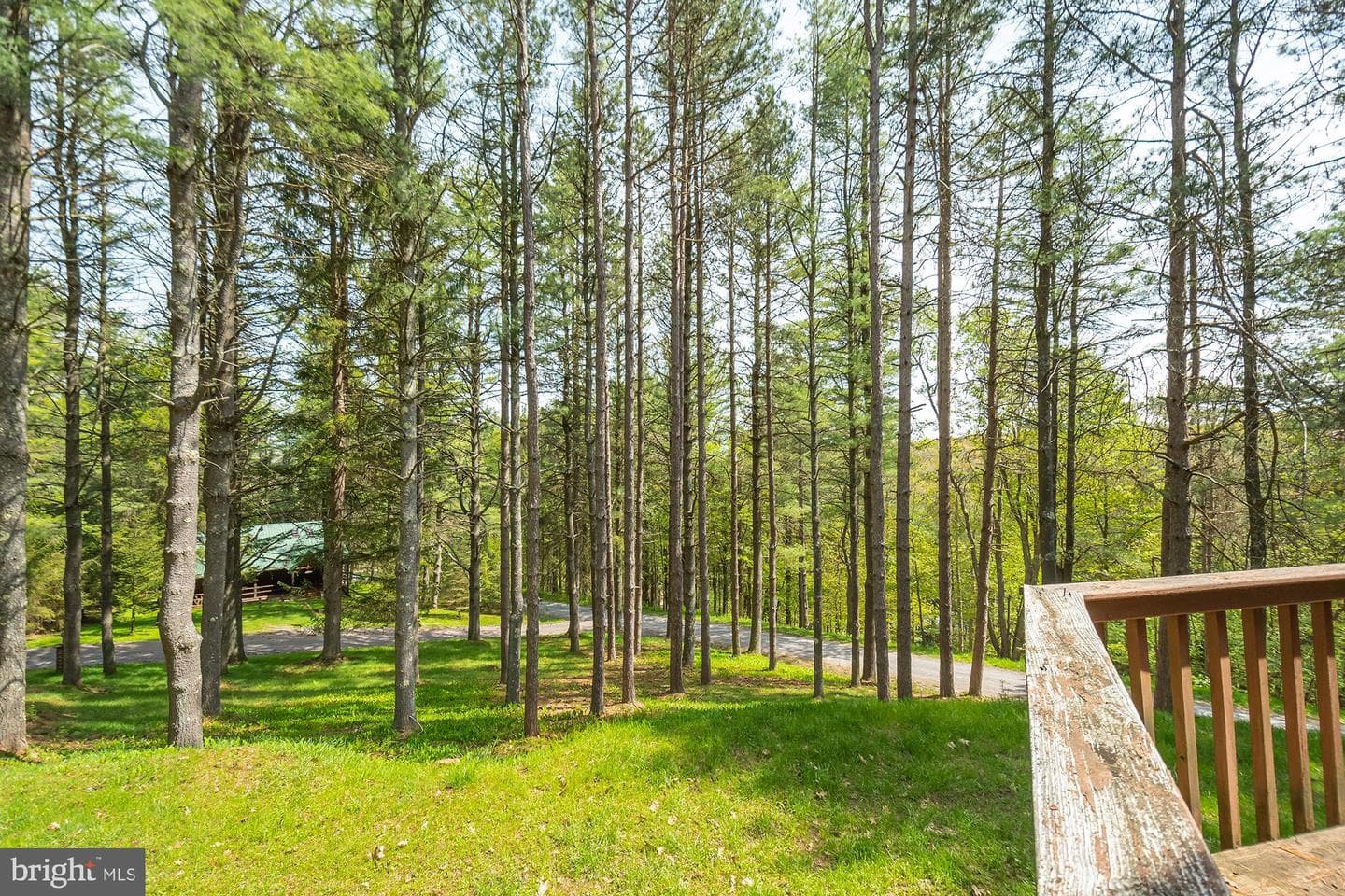 66 Breezy Terrace photo 32