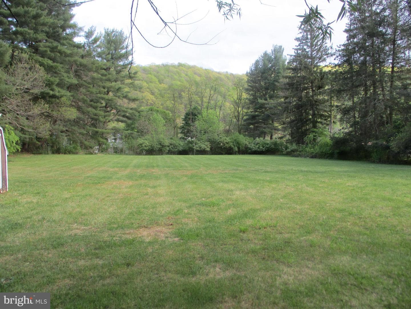 303 Orchard Street photo 7