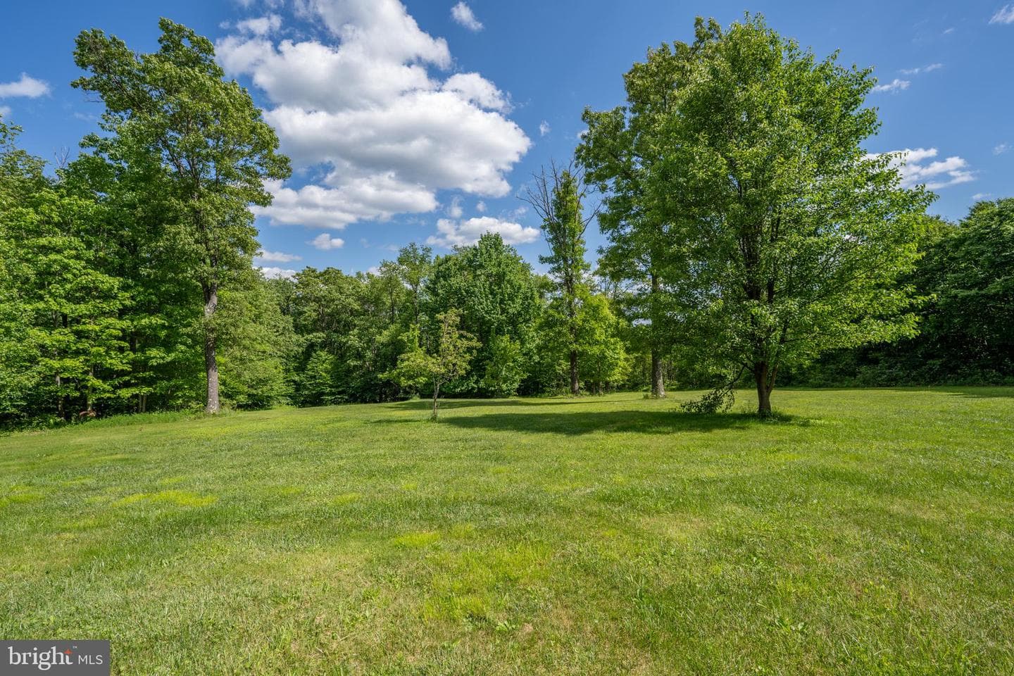 187 High Crest Drive photo 64