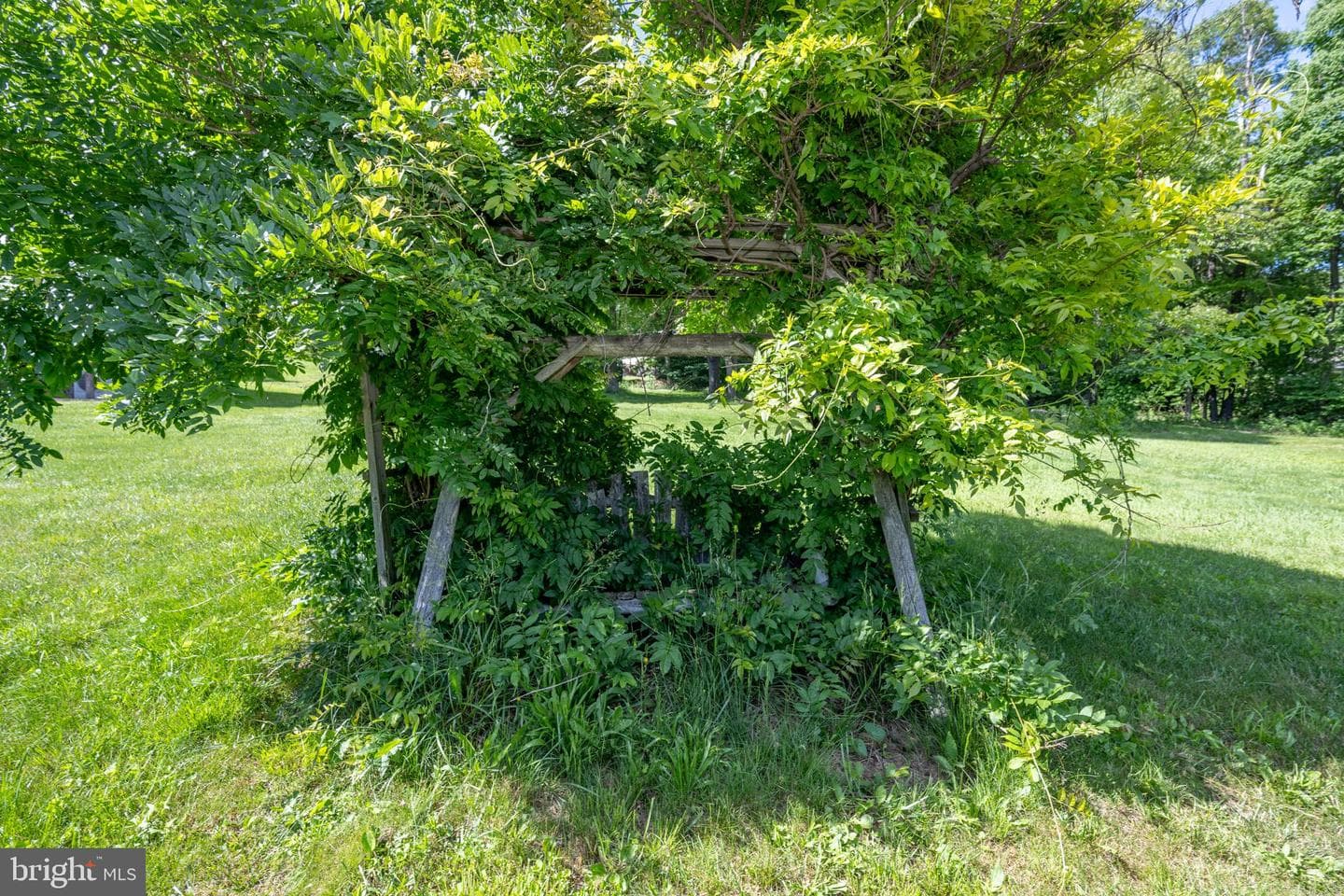 187 High Crest Drive photo 67