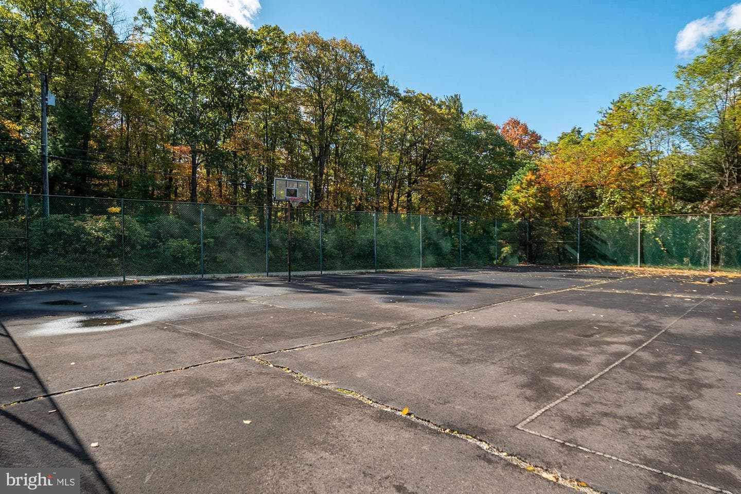 931 Black Oak Drive photo 48