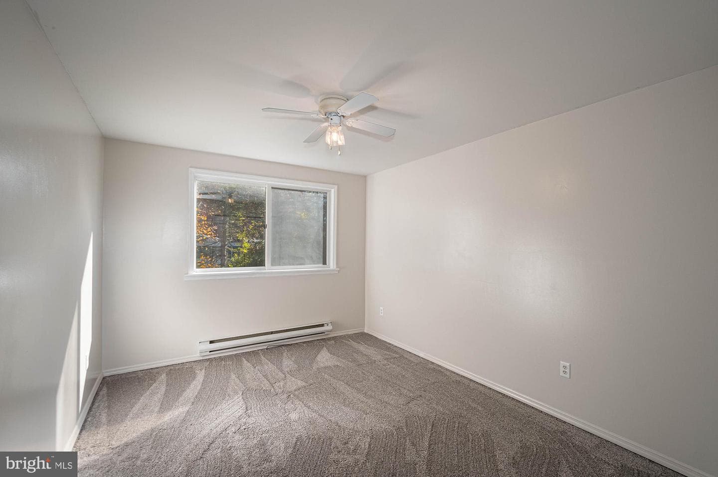 403 O Street photo 34