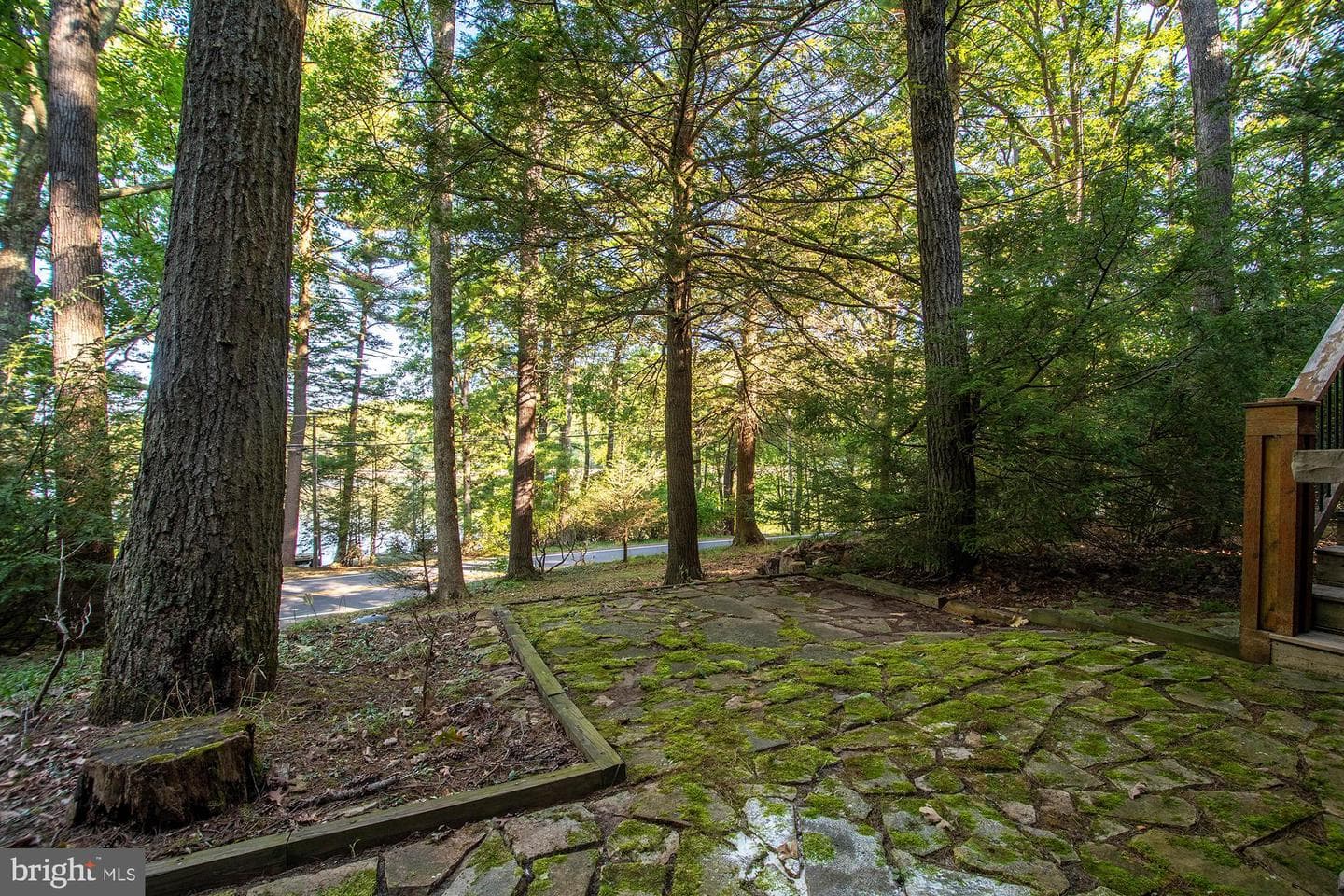 456 State Park Road photo 15