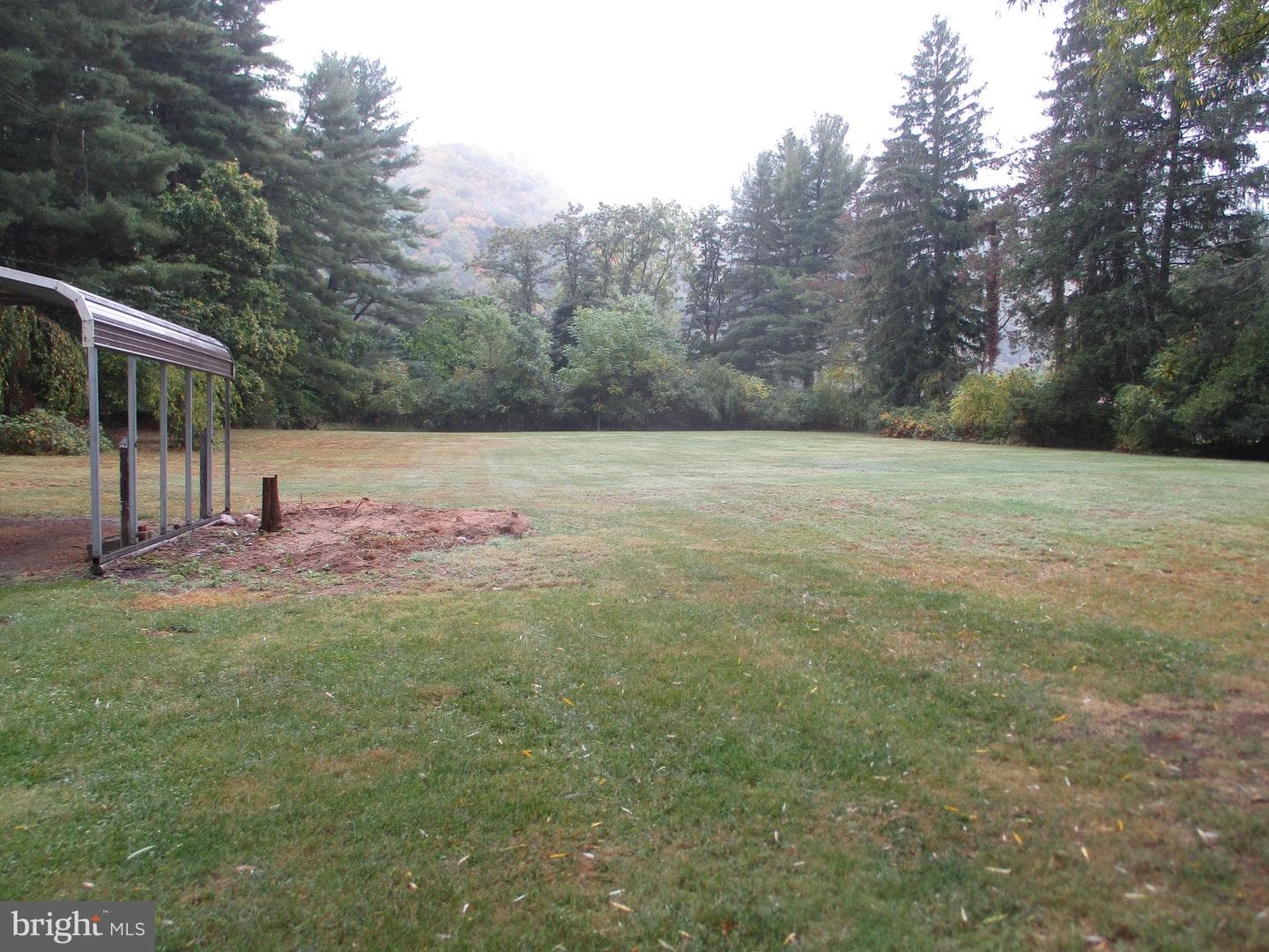 303 Orchard Street photo 5
