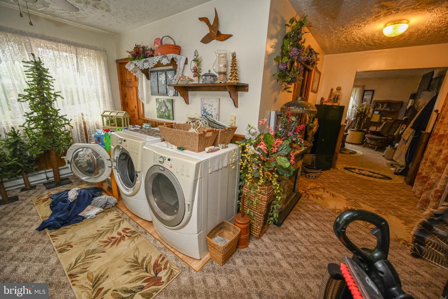 2527 Pigs Ear Road photo 25