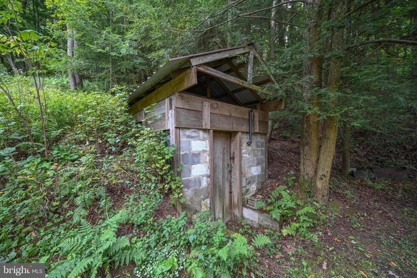 2527 Pigs Ear Road photo 37