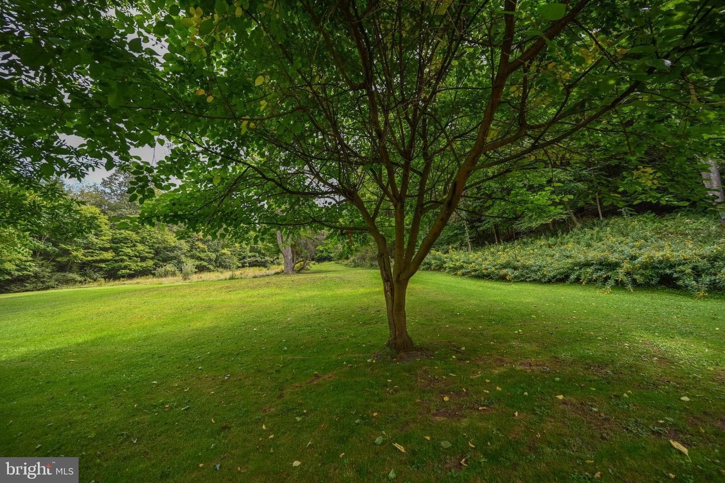 2527 Pigs Ear Road photo 39