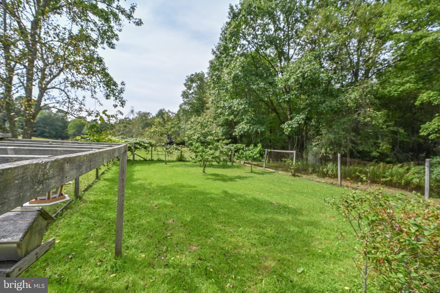 2527 Pigs Ear Road photo 41