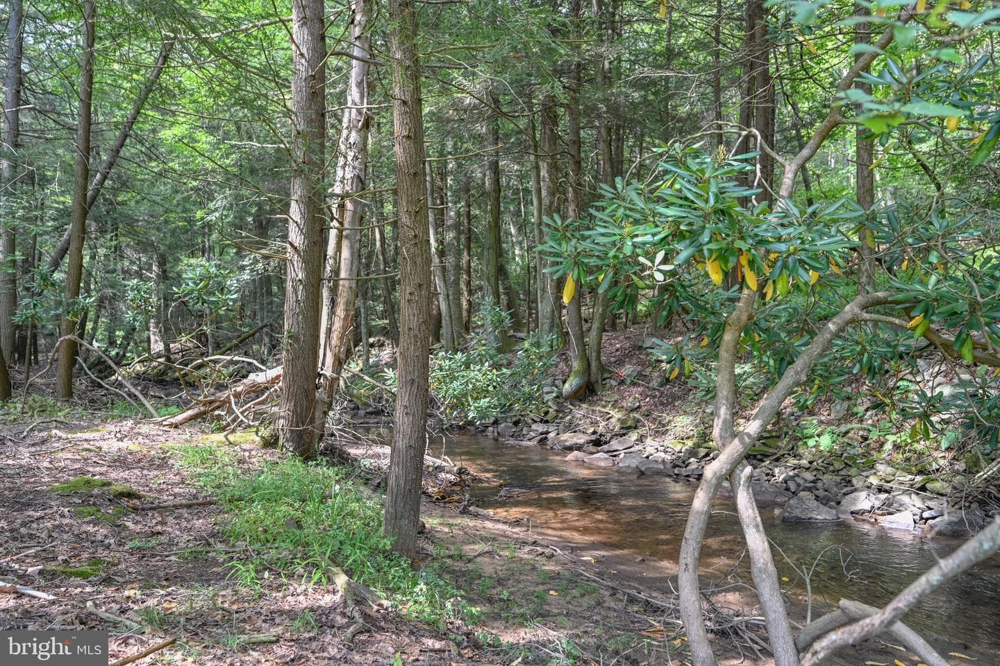 2527 Pigs Ear Road photo 43