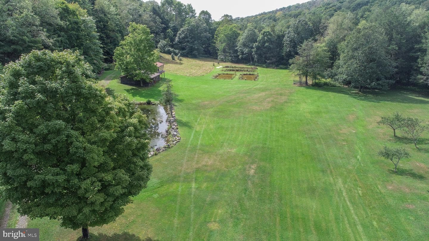 2527 Pigs Ear Road photo 49