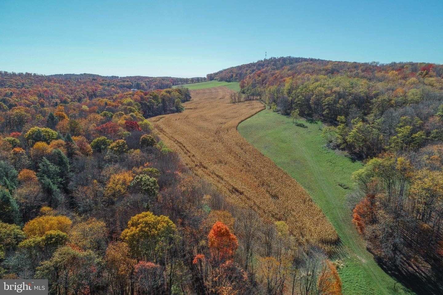 2527 Pigs Ear Road photo 5