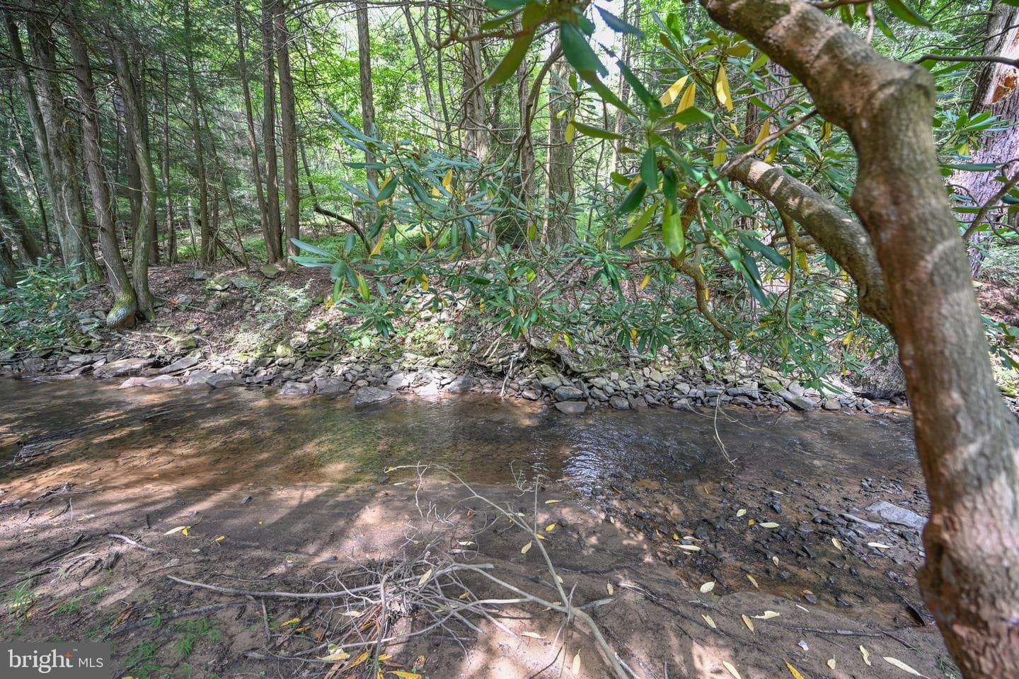2527 Pigs Ear Road photo 59