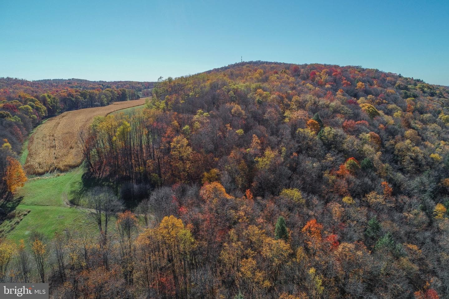 2527 Pigs Ear Road photo 6