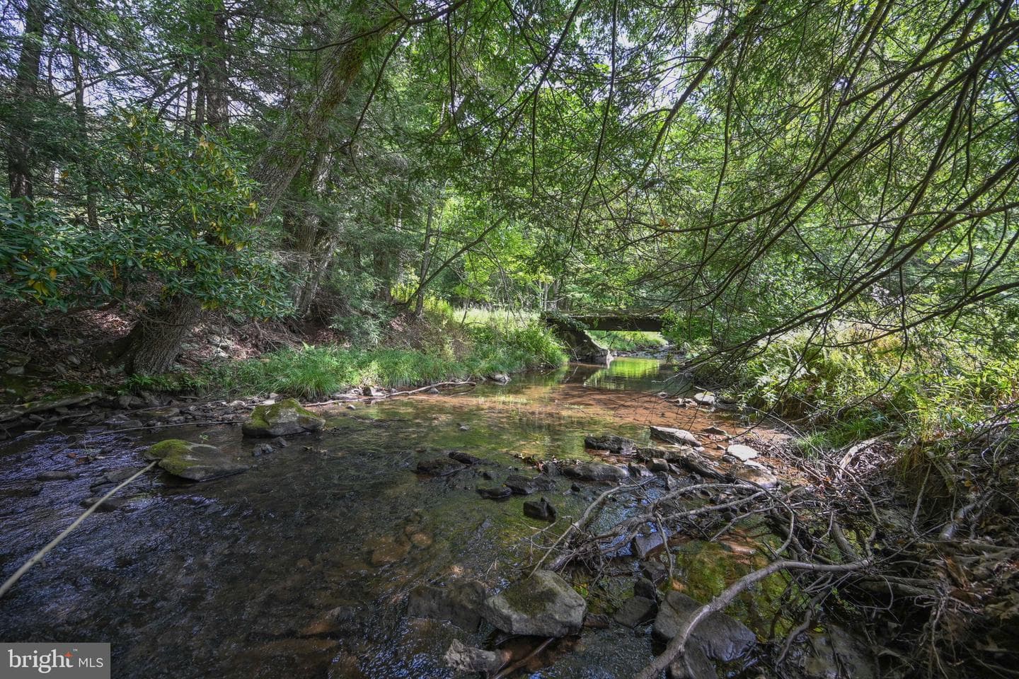 2527 Pigs Ear Road photo 60